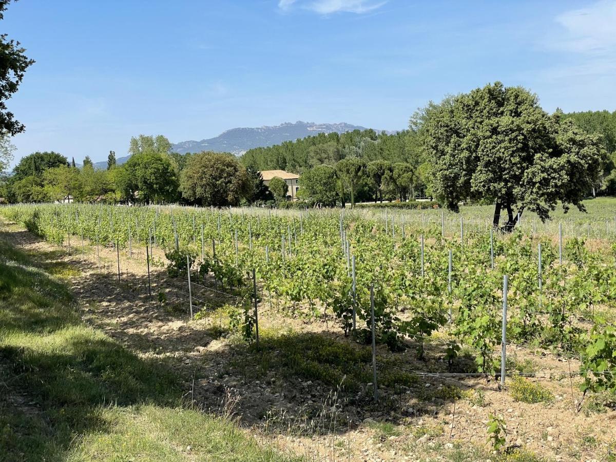 Chateau Talaud Loriol-du-Comtat المظهر الخارجي الصورة