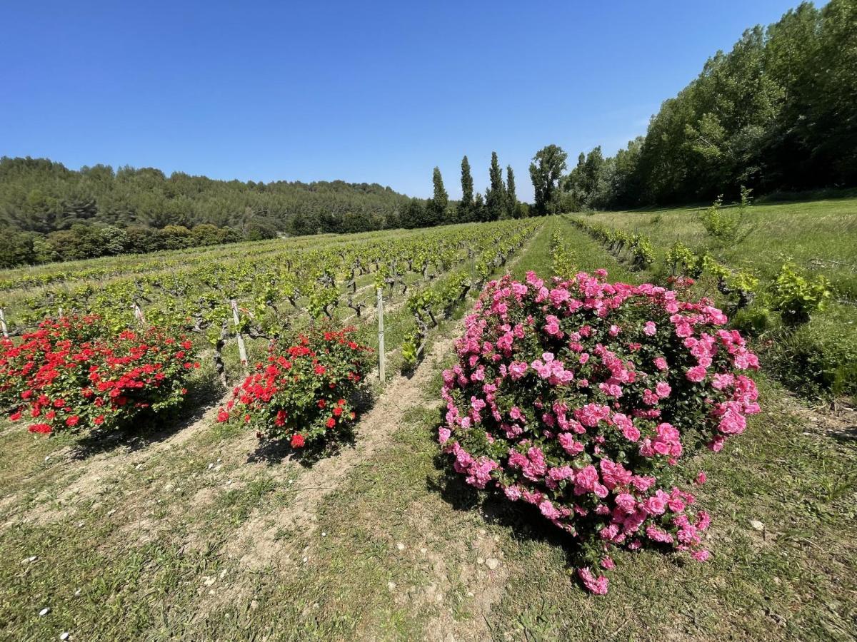 Chateau Talaud Loriol-du-Comtat المظهر الخارجي الصورة