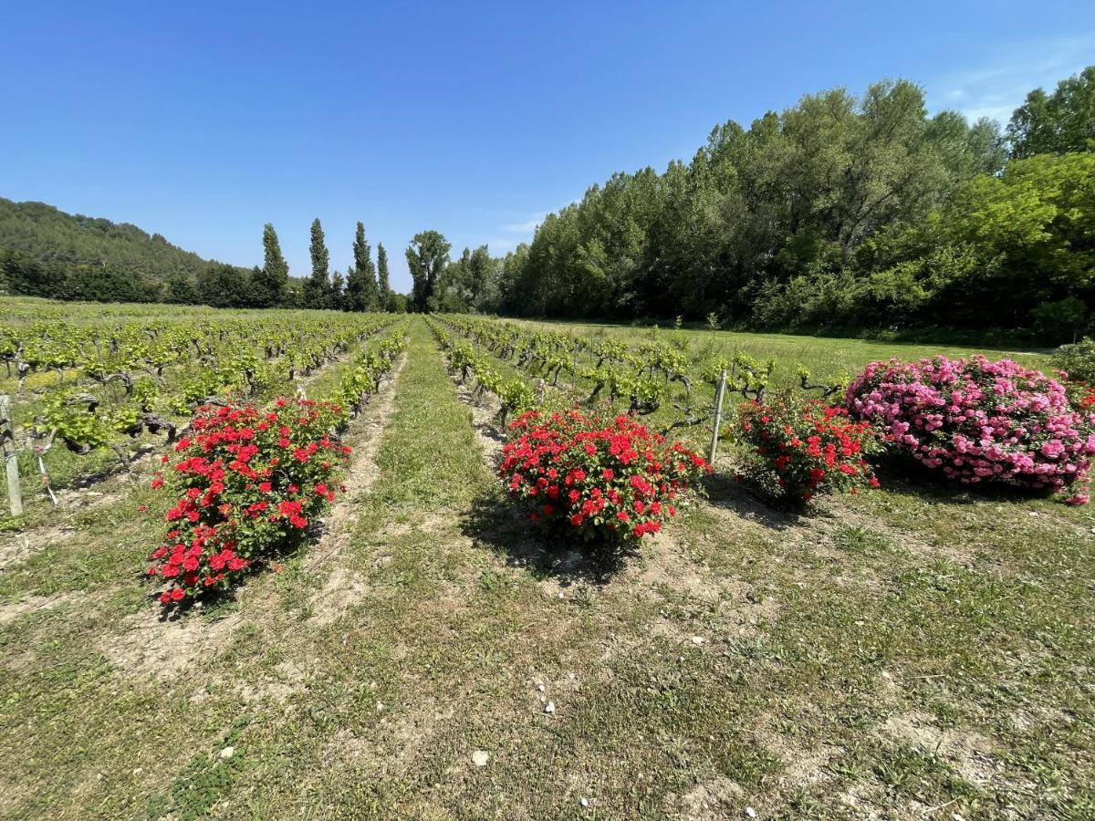Chateau Talaud Loriol-du-Comtat المظهر الخارجي الصورة